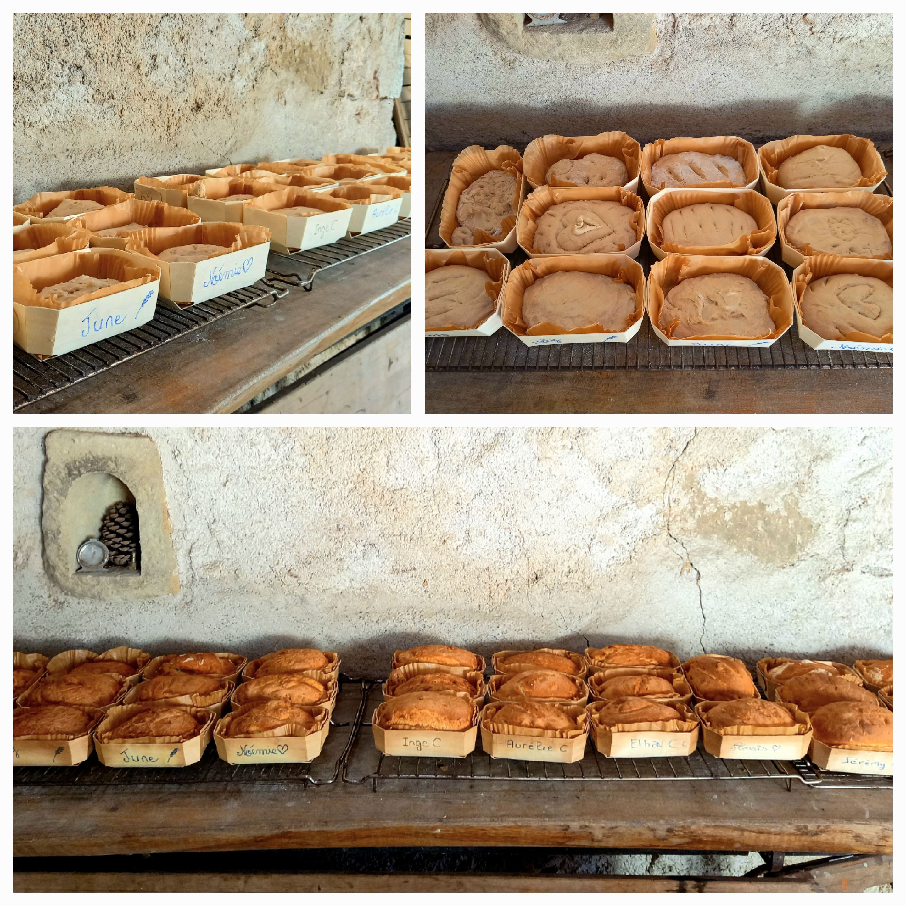 illustration Une belle fournée de pain réalisée par les visiteurs cette semaine