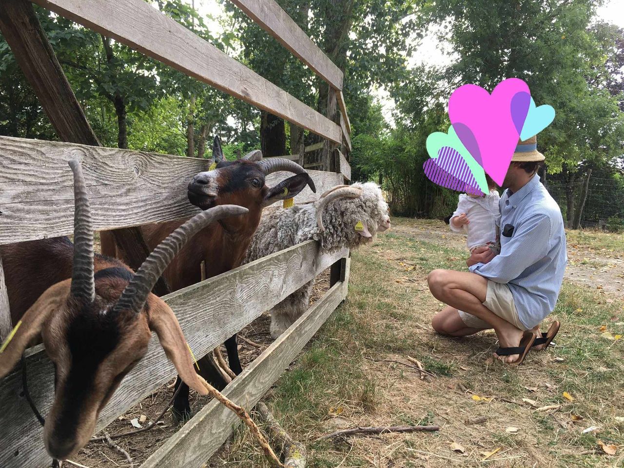 illustration C'est déjà la dernière semaine des grandes vacances !