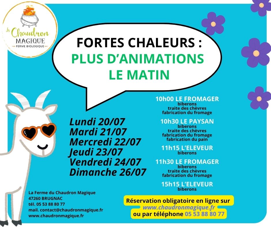 illustration Fortes chaleurs : plus d'animations le matin du 20 au 26 juillet !