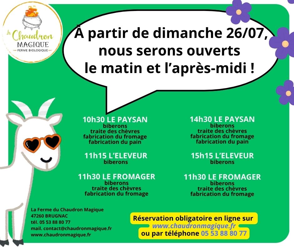 illustration Toutes les animations à nouveau disponibles à partir de dimanche 26/07